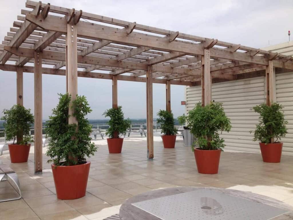 Custom Ponto planter on Rooftop Deck - Washington, DC